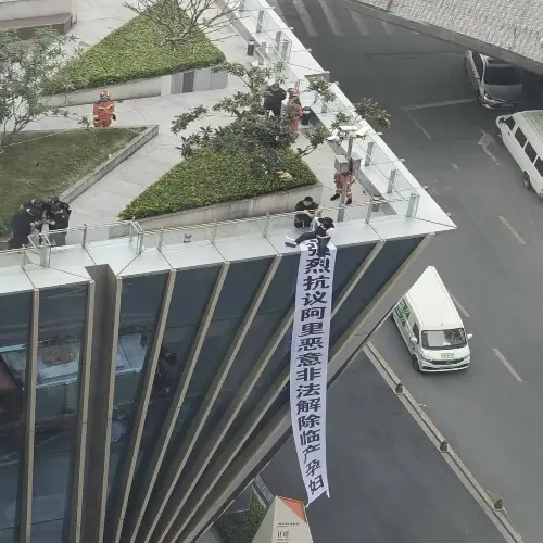 网友我小小兮兮爆料阿里巴巴非法解除临产孕妇